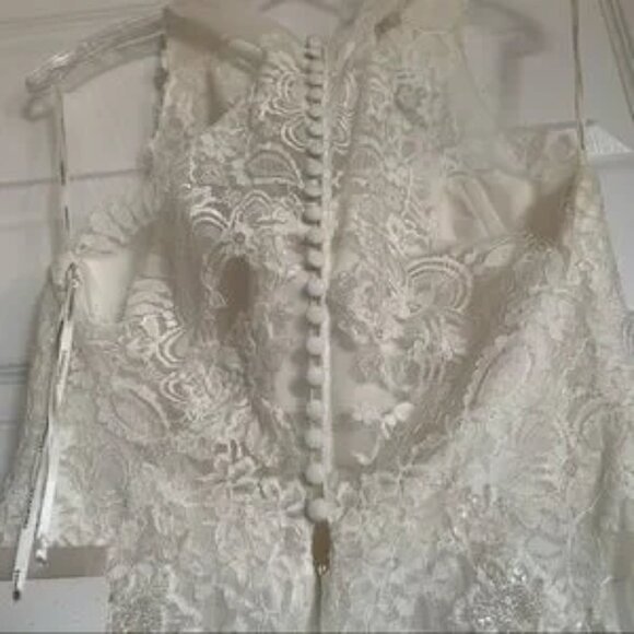 Pronovias Draconia Wedding Dress - Picture 10 of 13